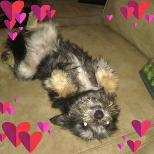 Meet your Posher, Jody